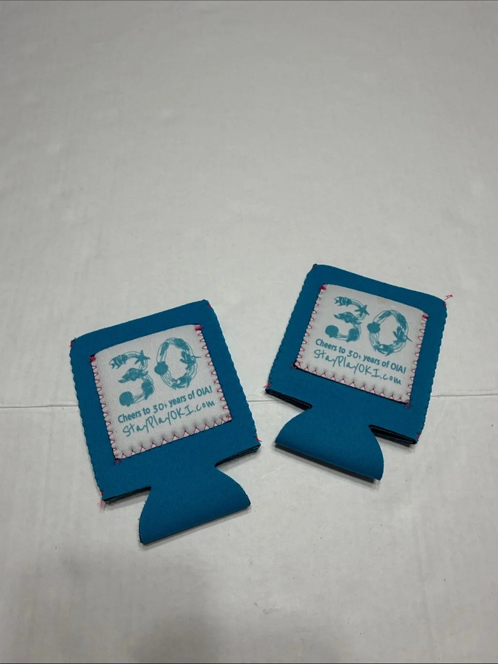 Teal Cheers to 30+ years of OIA. Event Can Coolers - Set of 2
